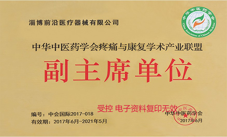 Deputy Chairman Membership of Pain and Rehabilitation Accademic Industrial Alliance of China Association of Chinese Medicine